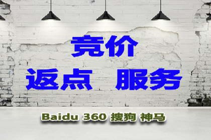 探索百度广告竞价的奥秘：某行业领先企业的投放经验